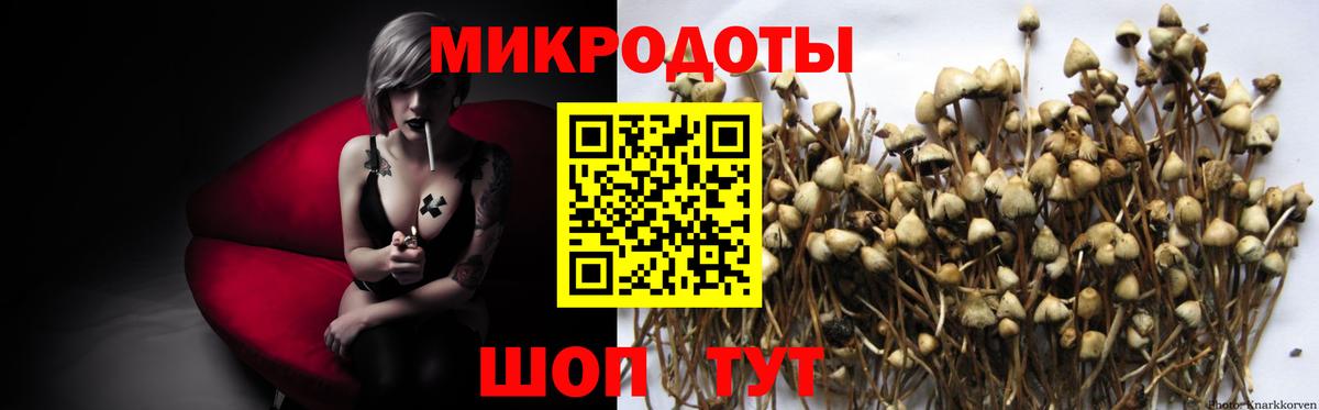 хочу   Вход с VPN  Среднеуральск  Галлюциногенные грибы мицелий 